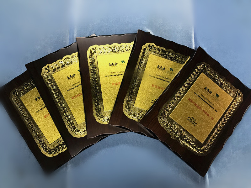 匯勝獲得5塊獎章